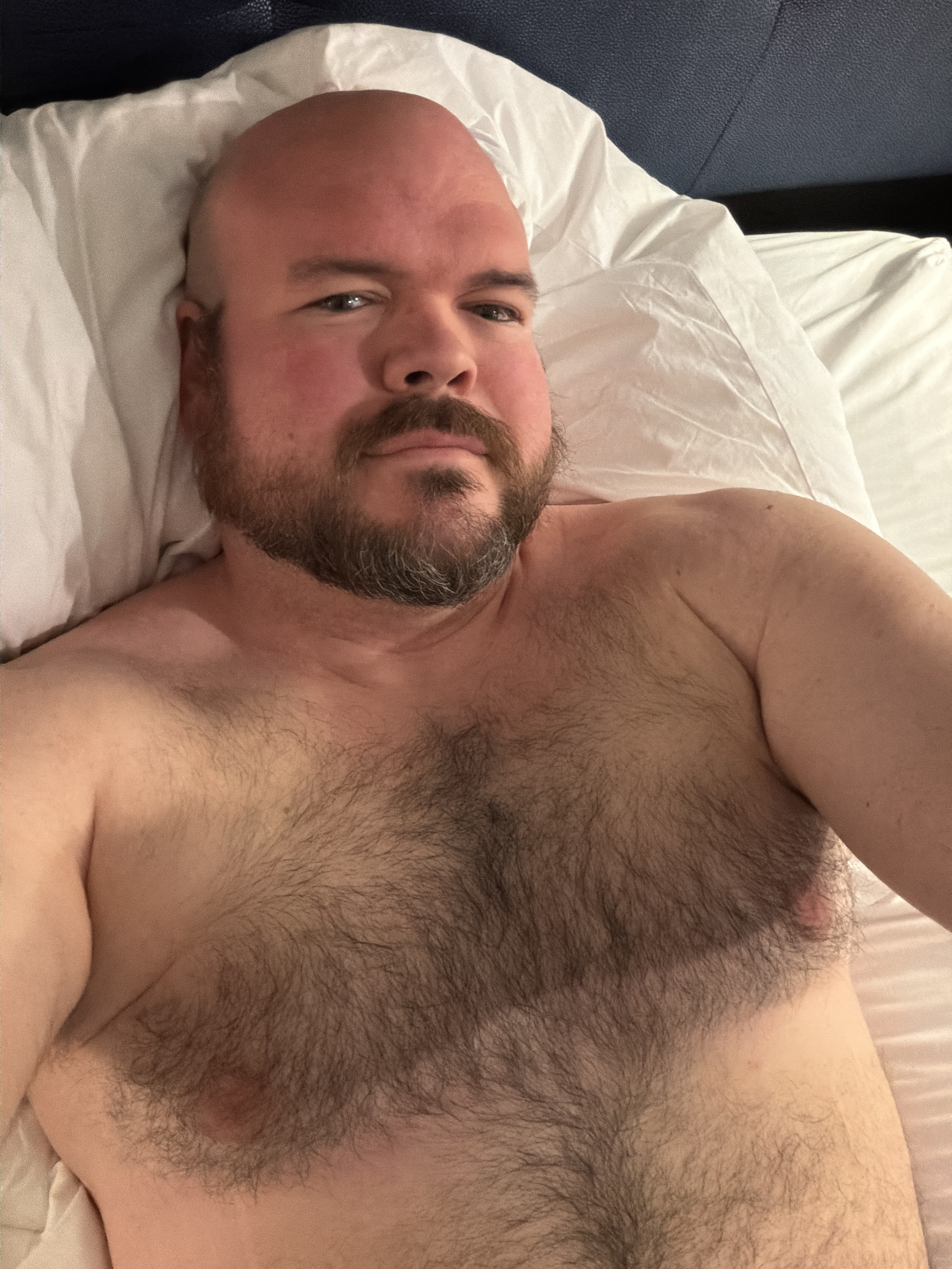 Sly Panorama shirtless portrait reclining on white bed pillows.